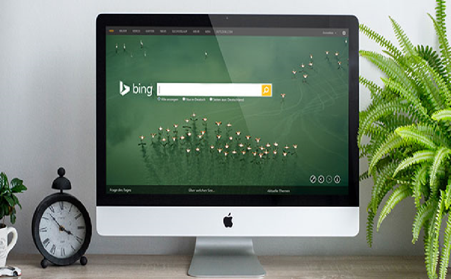 bing SE