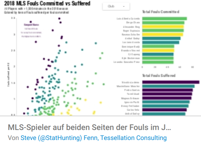 MLS Auswertung Fouls