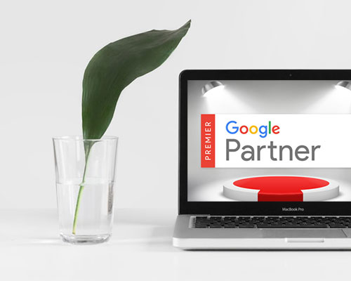 Google Partner