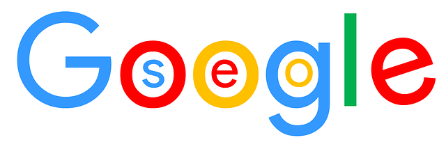 SEO in Google Logo