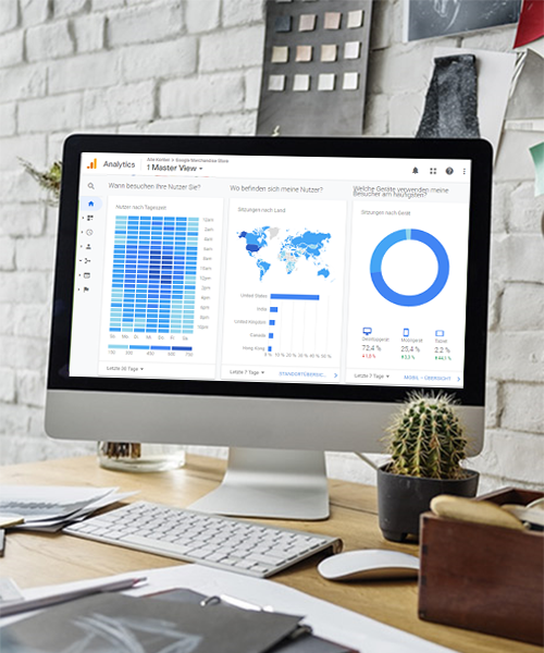 Google Analytics Bildschirm
